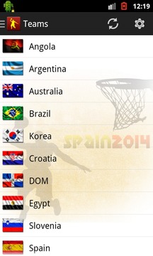 Basket World Cup Spain Fixture游戏截图3