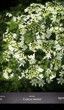 PuzzleSwap - Flower Flippin游戏截图5