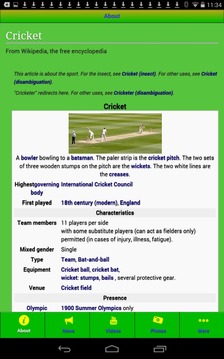 International Cricket游戏截图2