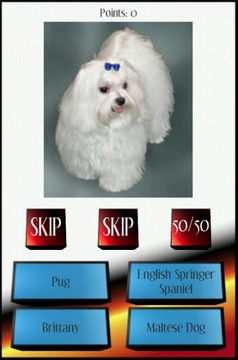 Dog Breed Picture Quiz游戏截图2