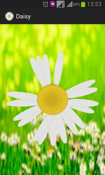 Daisy - the love o meter game游戏截图2