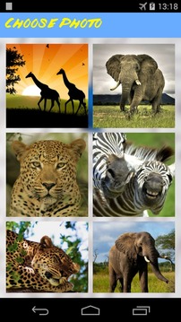 Safari Free Puzzles游戏截图4