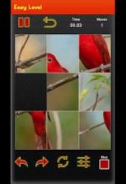 Picture Puzzle Game - Best Bird picture游戏截图1