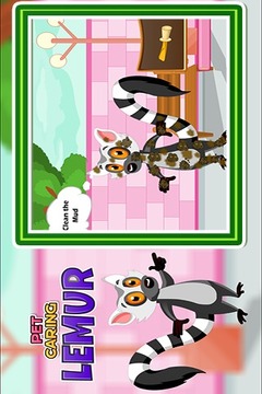 Pet Caring Lemur游戏截图2