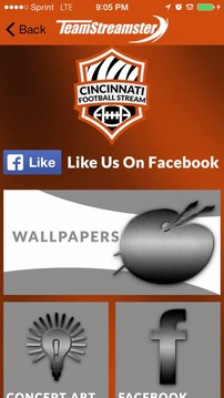 Cincinnati Football STREAM游戏截图5