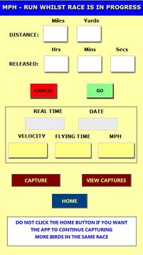 Racing Pigeon Speed游戏截图4