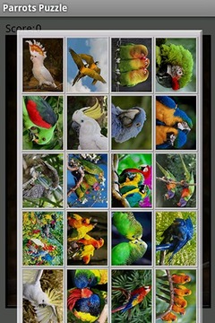 Parrots Puzzle游戏截图1