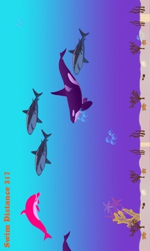 Dolphin Splash FREE游戏截图5