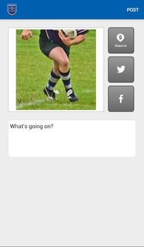 Russian Rugby游戏截图2