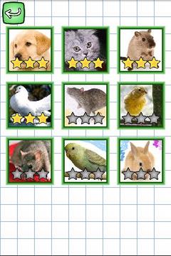 Spanish & Puzzles: Animals游戏截图4