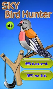 Sky Bird Hunter游戏截图1