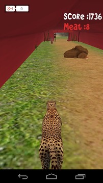 Animal Run :Cheetah 3D游戏截图5