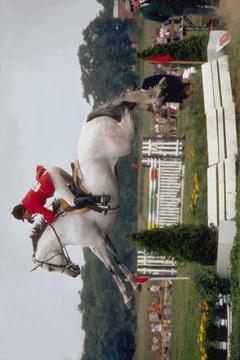 Horse Show Jumping App游戏截图4