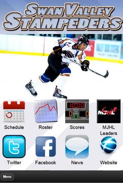Swan Valley Stampeders Hockey游戏截图3