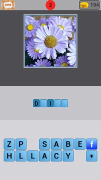 Flowers Quiz游戏截图2