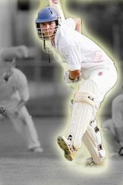 Power Stick Cricket游戏截图3