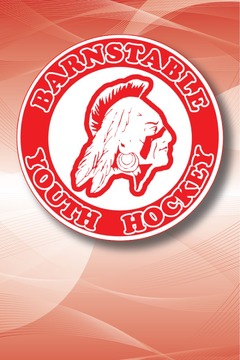 Barnstable Hockey游戏截图1