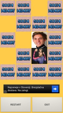 Sochi Memory游戏截图1