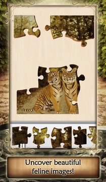 Live Jigsaws - Cat Tailz游戏截图5