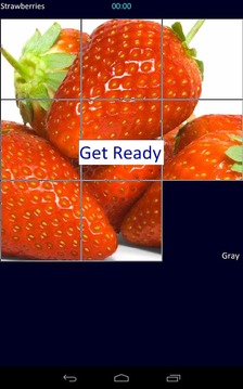 Sliding Puzzle BSG游戏截图3