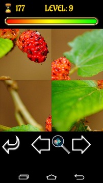 Puzzle Fruits游戏截图1