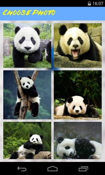 Panda Jigsaw Puzzle游戏截图2