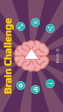 Brain Challenge游戏截图1