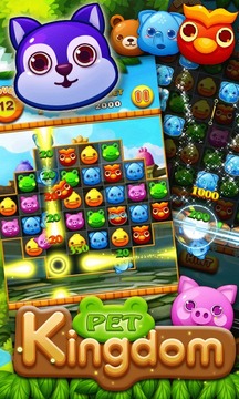 Pet Kingdom游戏截图3