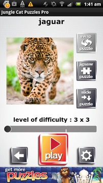 Jungle Cat Free Puzzles游戏截图3