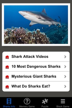 Shark Revenge Attack游戏截图1