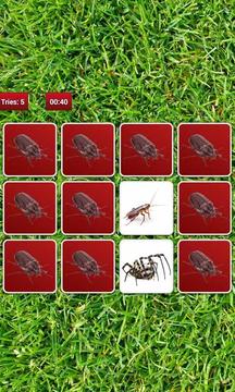 Insect Memory Game游戏截图5