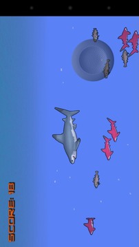 Shark Feast游戏截图3