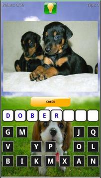 Puppy Dog Breeds Quiz游戏截图2