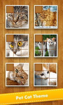 Puzzle Pet Cat游戏截图5