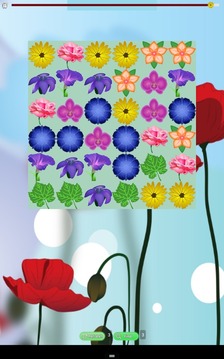 Flowers Match Free游戏截图1