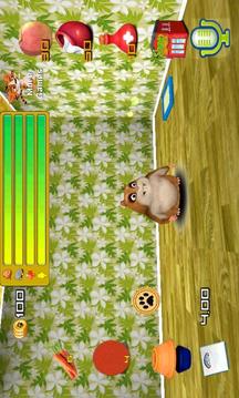 Pet talking friend hamster游戏截图2