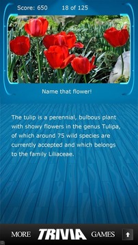 Name that Flower Trivia游戏截图2