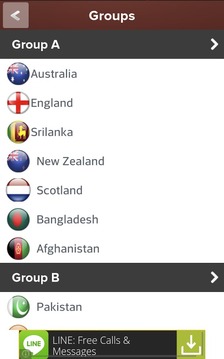 Cricket Worldcup 2015游戏截图4