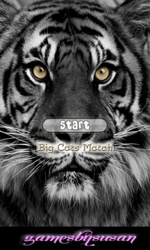 Big Cats Match游戏截图1