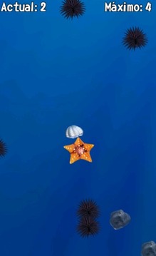 Star & Shell Free游戏截图3