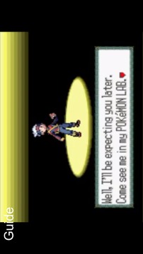 CODE For Pokemon Ruby(GBA)游戏截图1