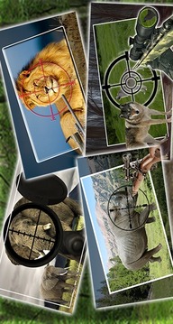 Safari Animal Hunting游戏截图1