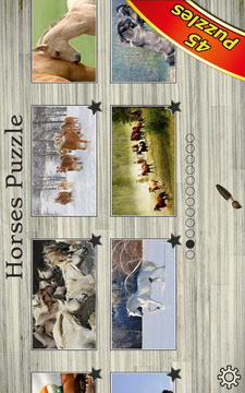 Horses Jigsaw Puzzles for Kids游戏截图5