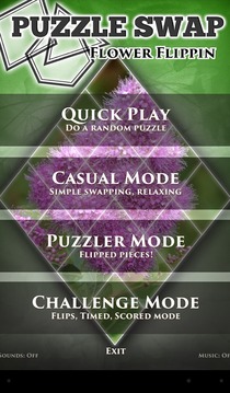 PuzzleSwap - Flower Flippin游戏截图3