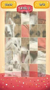 Silvery Kitten Jigsaw Puzzle游戏截图5