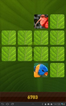 Jungle Memory Game游戏截图1