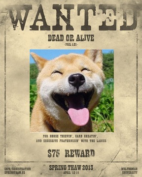 Wanted Poster游戏截图2