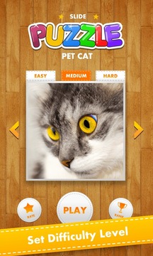 Puzzle Pet Cat游戏截图2