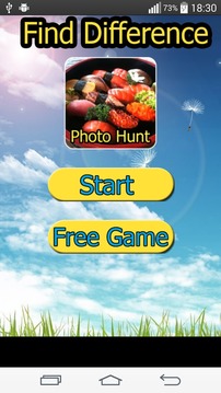 Photo Hunt Japanese Food游戏截图1