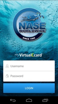 NASE Worldwide VirtualCcard游戏截图2